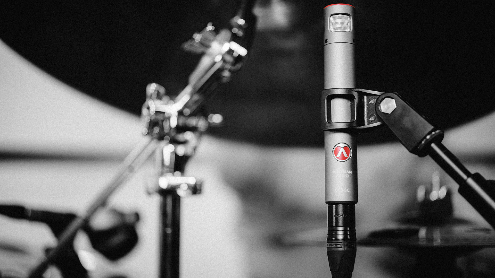 mAKING PASSION HEARD